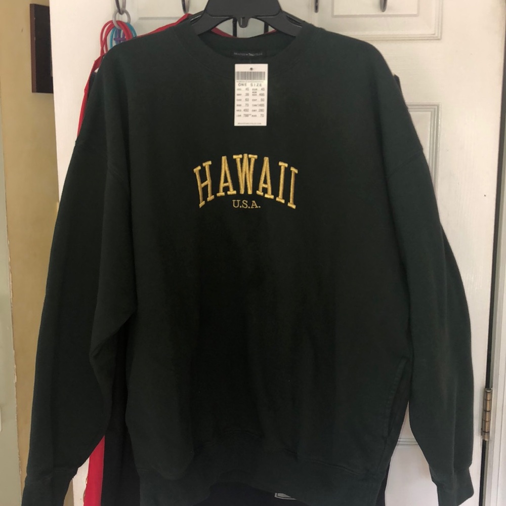 brandy melville erica hawaii green sweatshirt